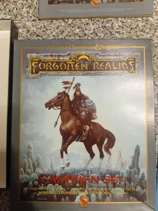 Forgotten Realms Campaign Set AD&D