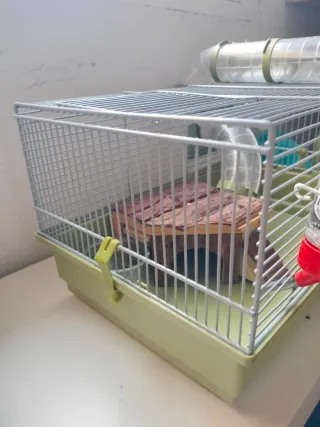 Jaula para hámster ruso