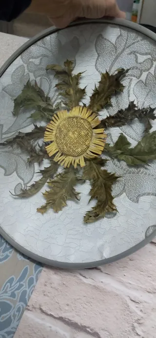 Eguzkilore artesanal en marco circular y cristal