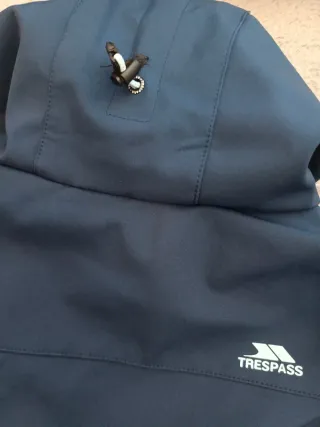 Trespass - Chaqueta Softshell Eckwood NUEVA