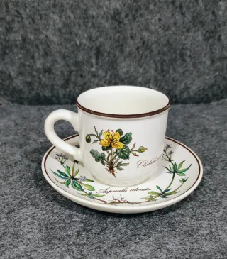 TAZA Y PLATILLO VILLEROY & BOCH