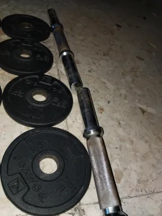 Pesas y barras para gimnasio