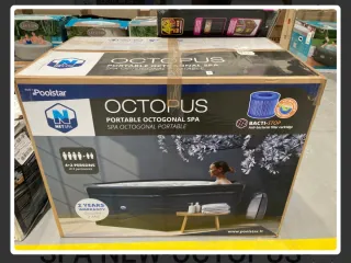 Jacuzzi Netspa Octopus Hexagonal 4+2