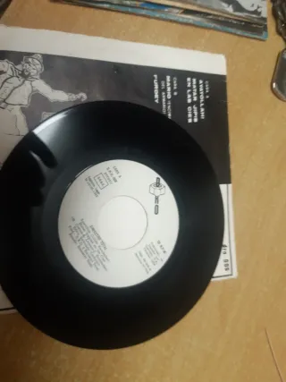 Vinilo Siniestro Total Punk Rock