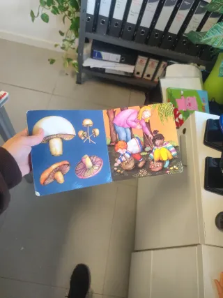 Tus primeros libros de Teo - Caen las hojas