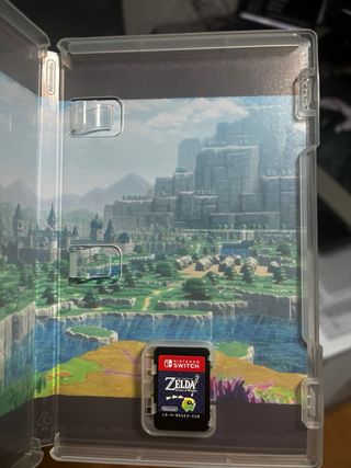 The Legend of Zelda: Echoes of Wisdom Switch