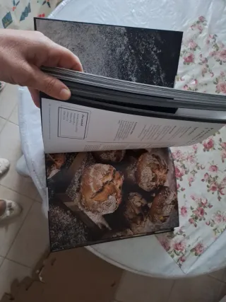 Masa madre: La esencia del pan