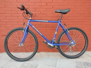 Bicicleta Orbea Azul