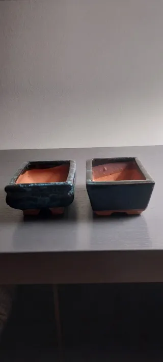 Vasi per bonsai in ceramica