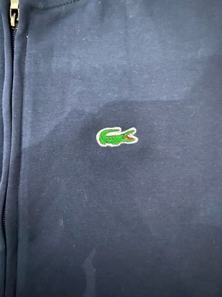 Casaco desportivo Lacoste azul