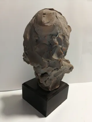 Figura de Pau Marcell