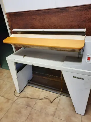 Plancha Miele Profesional