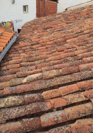 REPARACIÓN Y MANTENIMIENTO DE TEJADOS