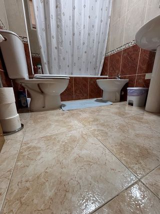 Servicio de limpieza