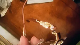 Occhiali con montatura in legno e dettagli oro