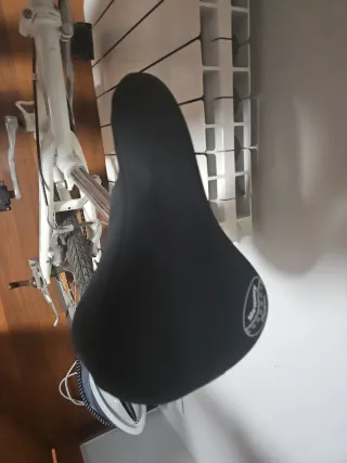 Bicicleta plegable Gotty