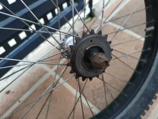 Llantas Monty Trial B-219 T-219