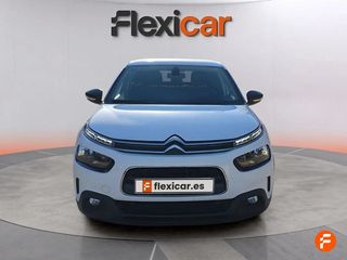 Citroën C4 Cactus BlueHDi 100 S&S Business