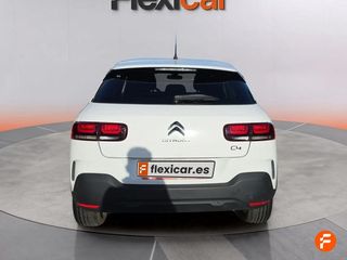 Citroën C4 Cactus BlueHDi 100 S&S Business