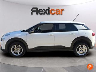 Citroën C4 Cactus BlueHDi 100 S&S Business