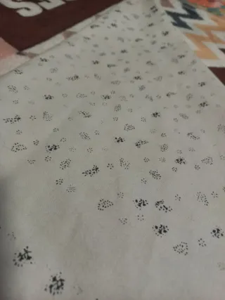 Traje de casera niña