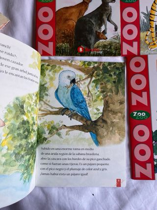 Maleta de 24 libros del Zoo