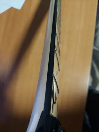 Mástil estilo Ibanez JEM con incrustaciones