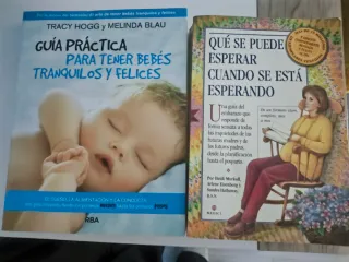 Guia práctica para tener bebes