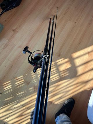 Caña Surfcasting Symbios 500 450