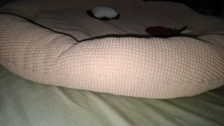 Nueva Alfombra de juegos para bebé 90/90cm