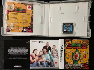 Freshly-Picked Tingle's Rosy Rupeeland DS