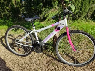 Bicicleta 26 Niña/o