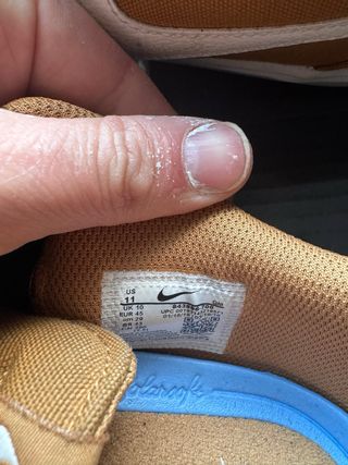 Zapatillas Nike SB Marrones y Blancas