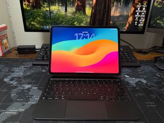 Ipad pro 11” M4 256 GB