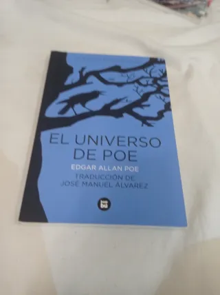 Lote 10 Libros Edgar Allan Poe, Simbad, etc.
