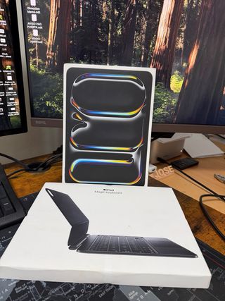 iPad Pro 11 M4 256 GB