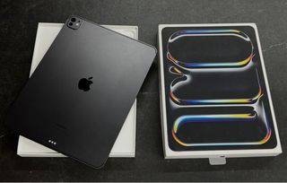 iPad Pro 13 M4 256GB WiFi + Cellular Plata