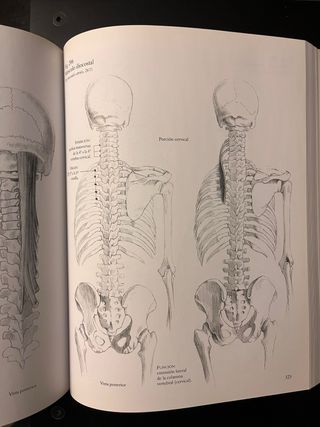 Anatomía Humana para artistas de Szunyoghy