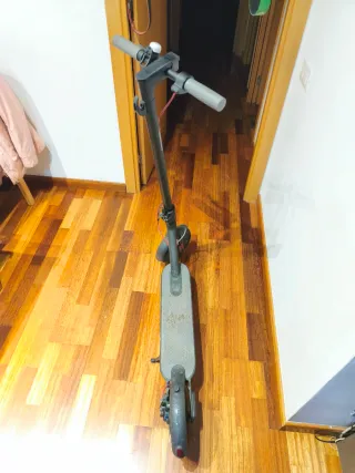 Patinet Xiaomi M365 1S.