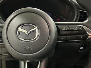 Mazda CX-30 2.0 e-SKYACTIV-G Homura 2WD AT 110 kW (150 CV)