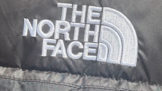 Chaqueta The North Face Negra Hombre