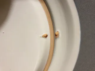 Piatto ceramica artigianale The Magic of Italy