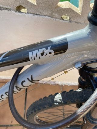 Bicicleta Ridgeback MX26 Niños 8-12 Años