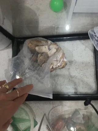 Acuario 100L Negro y Transparente