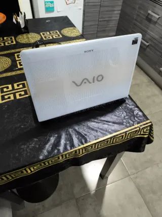Portátil Sony VAIO E Series Plata