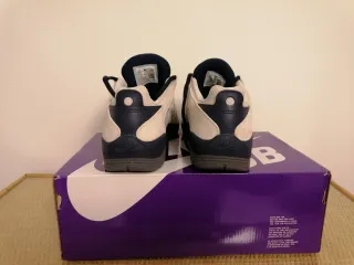 Zapatilla Nike SB modelo Vertebrae