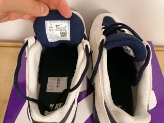 Zapatilla Nike SB modelo Vertebrae