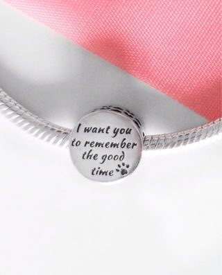 CHARM PERRO CHICA CORAZ PARA PULSERA PANDORA CAJA