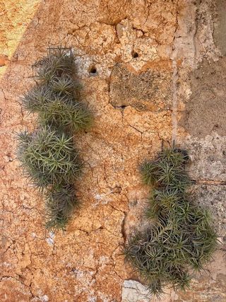 Casa rural en alquiler en Felanitx