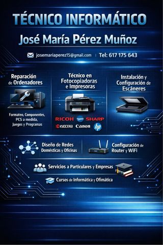 Técnico informático.